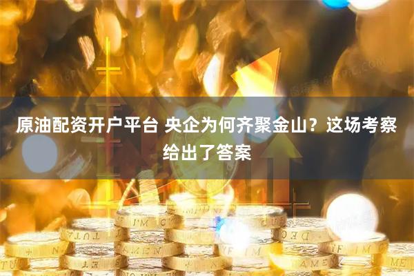 原油配资开户平台 央企为何齐聚金山？这场考察给出了答案